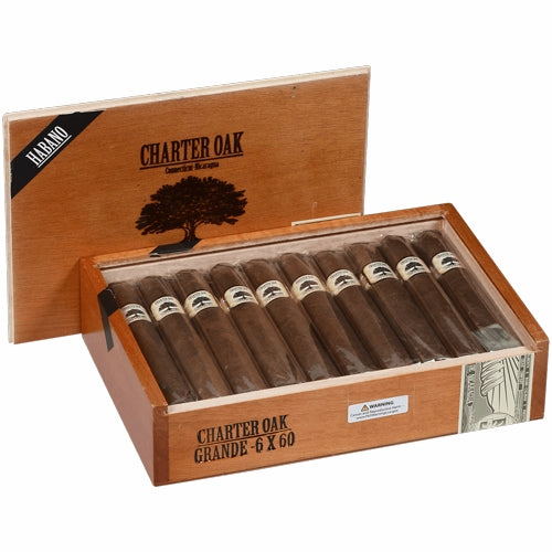 tobacco foundation Foundation Charter Oak Habano Grande (6