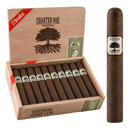 Foundation Charter Oak Connecticut Broadleaf Grande (6" x 60)