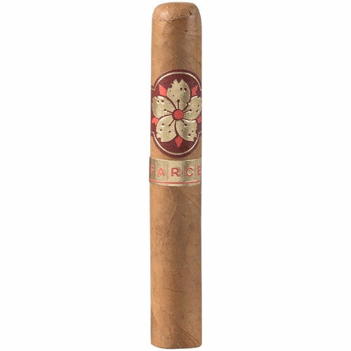 Room 101 FARCE Connecticut Robusto (5&quot; x 50)