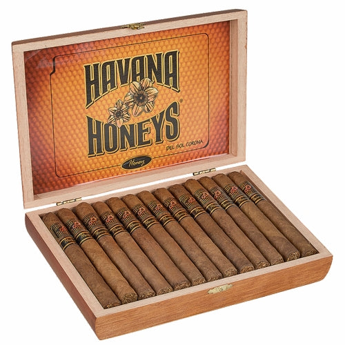 Havana Honeys Dol Sol Corona (5.5" x 42) - 3 Flavors