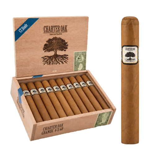 Foundation Charter Oak Connecticut Shade Grande (6" x 60)