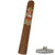 Ave Maria Clermont (Corona) - CigarsCity.com