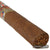 Ave Maria Clermont (Corona) - CigarsCity.com