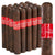 Bahia: Bahia Maduro - Pack of 20