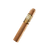 5 Vegas - Gold - Double Nickel (box-pressed Gordo) - Box of 20 - CigarsCity.com