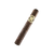 Macanudo - Cafe & Maduro - Hyde Park Maduro (Robusto) - Box of 25 - CigarsCity.com