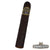 Partagas Black Label Gigante (6.0" x 60) - CigarsCity.com