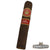 Punch Rare Corojo Rothschild (Robusto) - CigarsCity.com