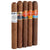 Punch 5 Cigar Sampler