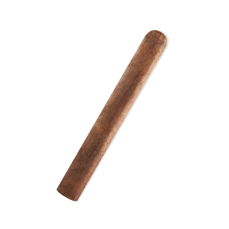 Rocky Patel Vintage 2nds Toro 1992 - Bundle of 15 - CigarsCity.com