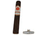 Rocky Patel Sun Grown Maduro Robusto (5.0" x 50) - CigarsCity.com